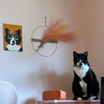 Posh Pets Rescue - Amby standing next to his portrait - Animal Shelters Near Me - Long Beach, New York Posh Pets Rescue - Amby standing next to his portrait - Animal Shelters Near Me - Long Beach, New York