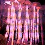 Photo of Festa Major de Gràcia