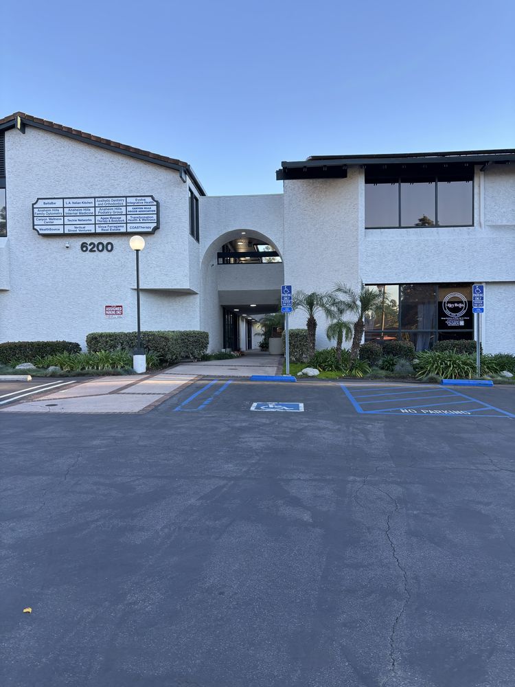 Prism Electrolysis Logo