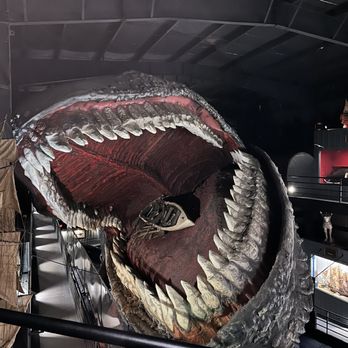The House On the Rock - Whale from the top deck - Museums Near Me - Spring Green, Wisconsin