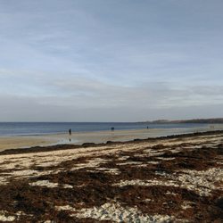 Hundestrand - Ebbe