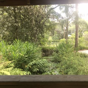 Eureka Springs Park - Parks Near Me - Tampa, Florida Eureka Springs Park - Parks Near Me - Tampa, Florida