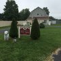Photo of Spoiled Rotten Pet Spa