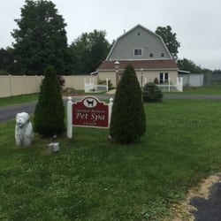 Spoiled Rotten Pet Spa
