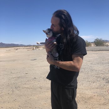 Kactus Kathys Chihuahuas - Already allowing kisses from my husband - Pet Services Near Me - Congress, Arizona Kactus Kathys Chihuahuas - Already allowing kisses from my husband - Pet Services Near Me - Congress, Arizona