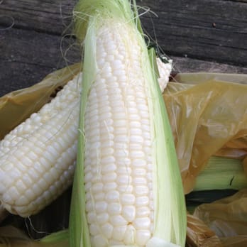 Anderson Farms - There corn is the best!!!! - Farmers Market Near Me - Schuylkill Haven, Pennsylvania Anderson Farms - There corn is the best!!!! - Farmers Market Near Me - Schuylkill Haven, Pennsylvania
