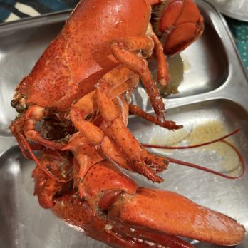 Shaking Seafood - Lobster - Seafood Near Me - Roslindale, Massachusetts