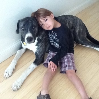 Olympic Dogs - A boy and his dog.... - Pet Breeders Near Me