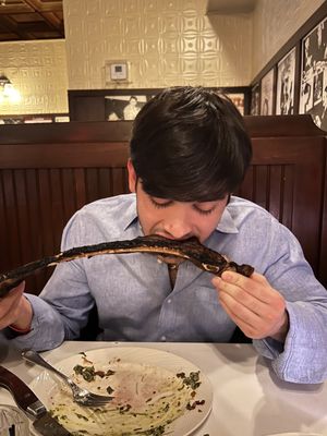 The Palm - Miami by null