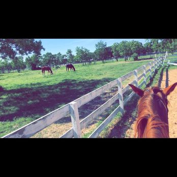 Grandview Farms - A beautiful day at the barn from the big arena - Sports Clubs Near Me - Cypress, Texas Grandview Farms - A beautiful day at the barn from the big arena - Sports Clubs Near Me - Cypress, Texas