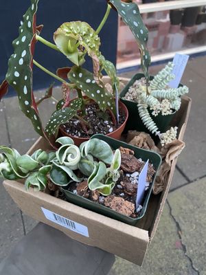 Public Land Store by null