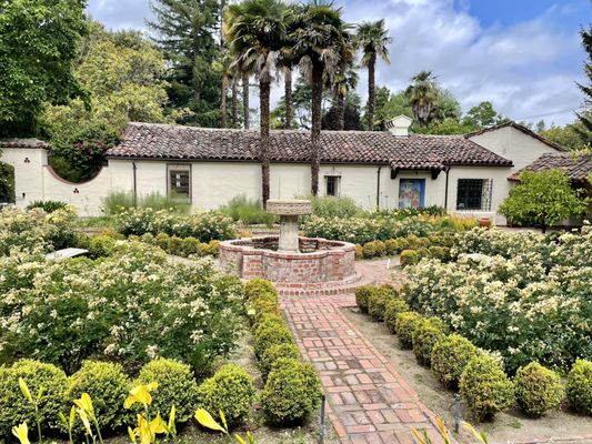 Cafe Wisteria by null