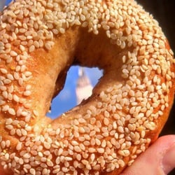 Blacksburg Bagels - Blacksburg Bagels takes on NYC!