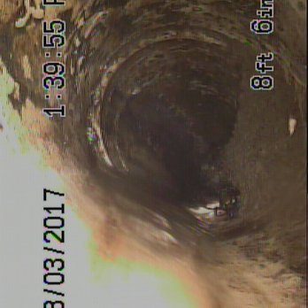 RedFish Inspections - Sewer scope: Root intrusion - Home Inspectors Near Me - Houston, Texas RedFish Inspections - Sewer scope: Root intrusion - Home Inspectors Near Me - Houston, Texas