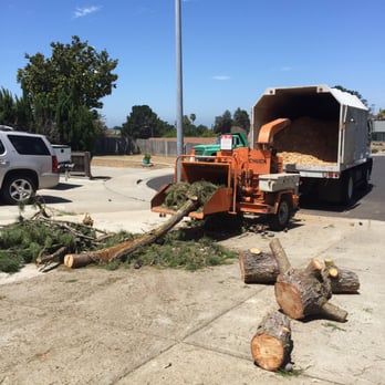 Mathers Tree Service - Almost done - Tree Services Near Me