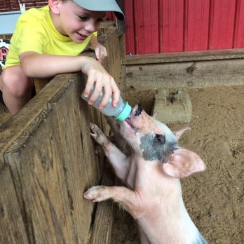 Tuscaloosa Barnyard - Petting Zoos Near Me - Tuscaloosa, Alabama