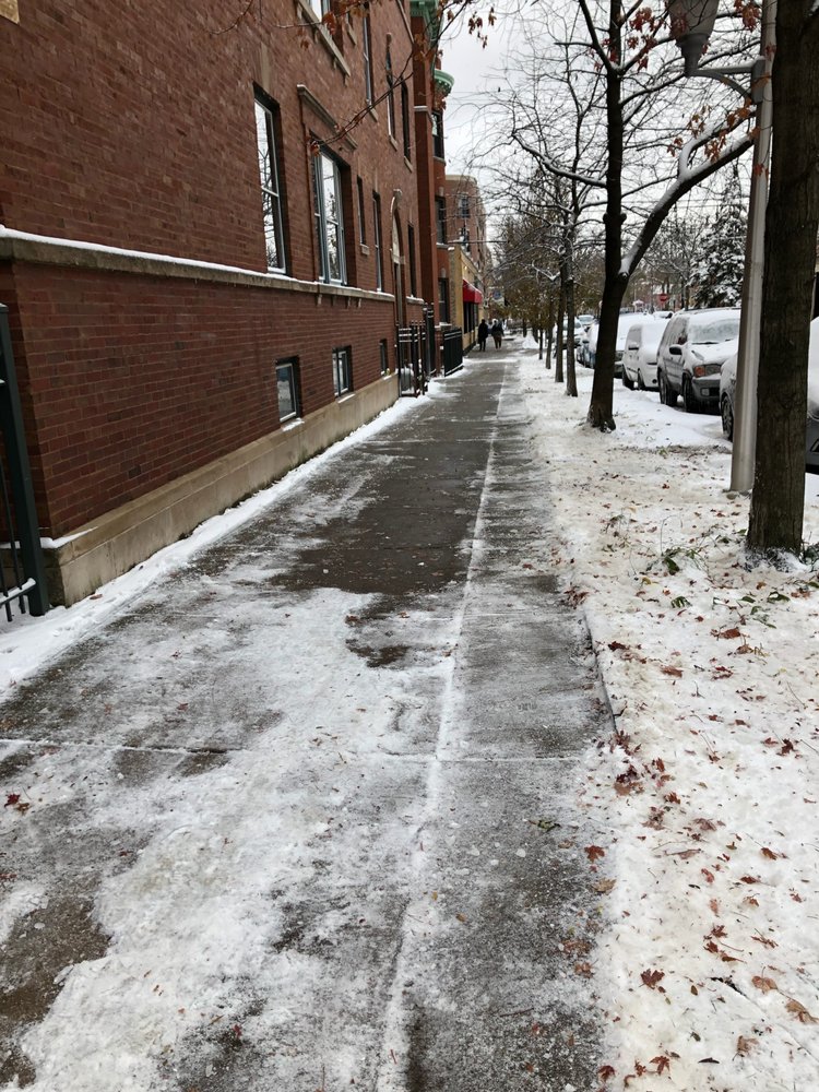 GABRIEL’S LANDSCAPING & SNOW REMOVAL Updated October 2024 Chicago