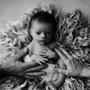 Photo of Whispy Shades Photography