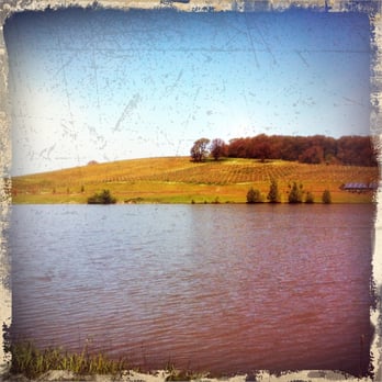 Left Coast Estate - Wineries Near Me - Rickreall, Oregon