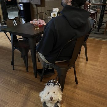 Fountainhead Brewing Company - Dog Friendly :) - Breweries Near Me - Sacramento, California Fountainhead Brewing Company - Dog Friendly :) - Breweries Near Me - Sacramento, California