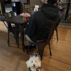 Fountainhead Brewing Company - Dog Friendly :)