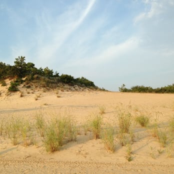 Jockey's Ridge State Park - Parks Near Me - Nags Head, North Carolina Jockey's Ridge State Park - Parks Near Me - Nags Head, North Carolina