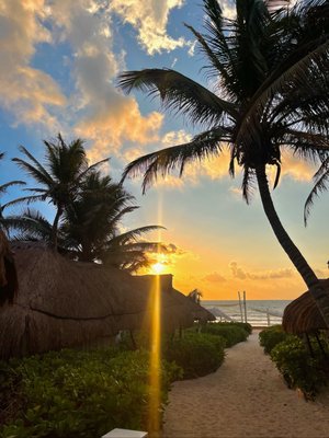 Coco Tulum by null