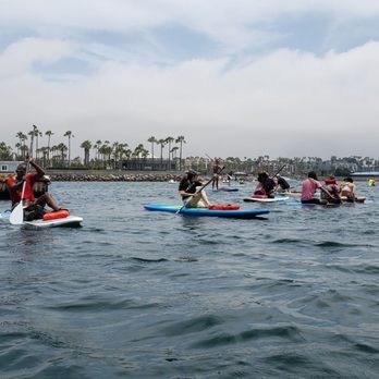 Olympus Standup Paddleboarding - Pride Paddleboarders with King Harbor seals in pic. Paddleboards provided by Olympus Standup Paddleboards.. - Paddleboarding Near Me - Torrance, California