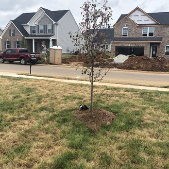 Waynes Pest Control - Pest Control Near Me - Murfreesboro, Tennessee