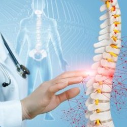 Neuro-Spine Florida   Florida Neurosurgery - Comprehensive Neuro-Spine Treatment