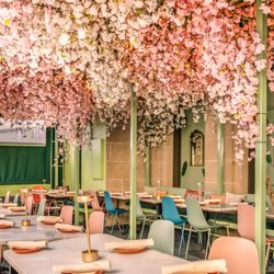 Residents Cafe & Bar - Cherry Blossoms on Residents Patio!