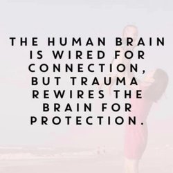 Northwest Wellness Center - Your brain has the ability to rewire its self.