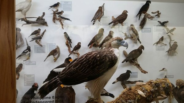 World Museum of Natural History by null