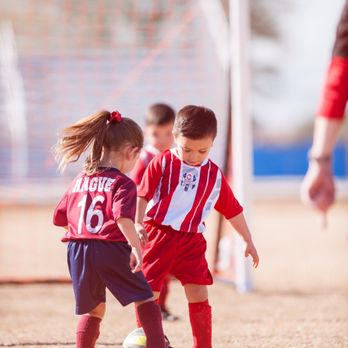 One Sports Nation - Amateur Sports Teams Near Me One Sports Nation - Amateur Sports Teams Near Me
