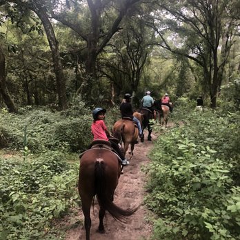 Cactus Jack's Trail Rides - Horseback Riding Near Me - Ocala, Florida