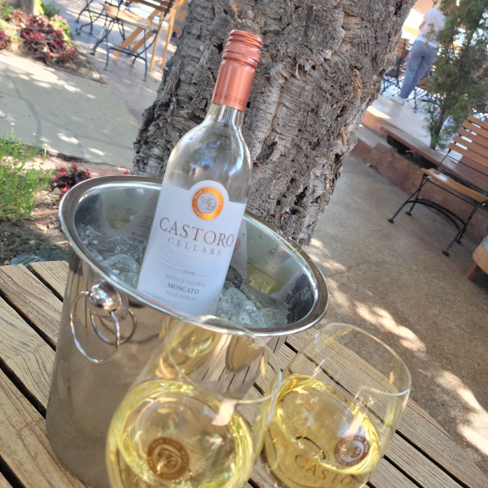 Castoro Cellars - Wineries Near Me - Templeton, California