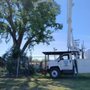 Photo of Tree of Life Tree Service