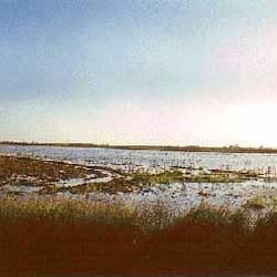 Karankawa Plains Outfitting Company