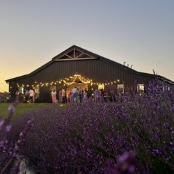 Calyx Creek Lavender & Lodging