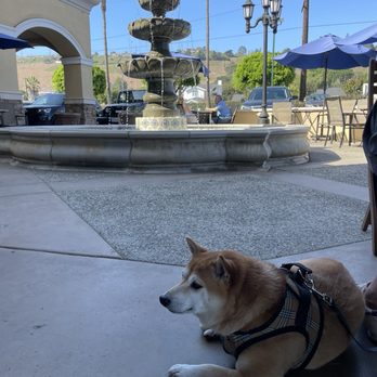 Bada Coffee - Dog friendly outdoor area - Coffee & Tea Near Me - Torrance, California