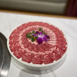 Qiao Lin Hotpot - Boston - Short rib