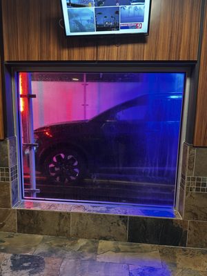 Octopus Car Wash by null