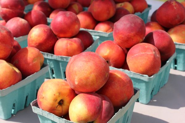 Blythewood Farmers Market by null