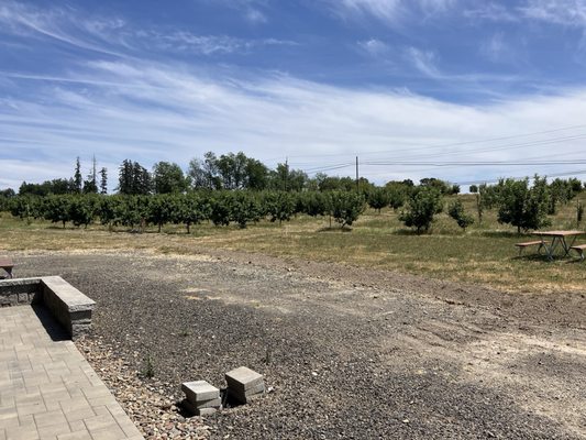 RAW Cider Company by null