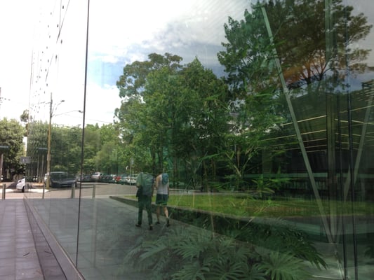 Surry Hills Library by null