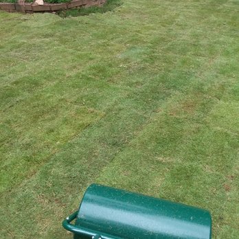 T Ray Services - Sod freshly laid - Pressure Washers Near Me T Ray Services - Sod freshly laid - Pressure Washers Near Me