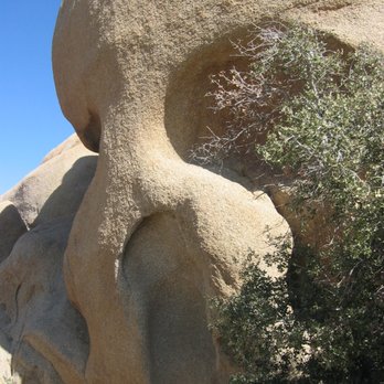 Skull Rock - Skull Rock! - Landmarks & Historical Buildings Near Me - Joshua Tree, California