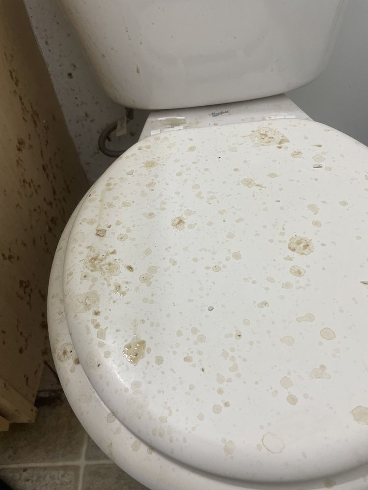 Slide of Schoonover Sewer Service