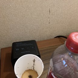Ants Ants