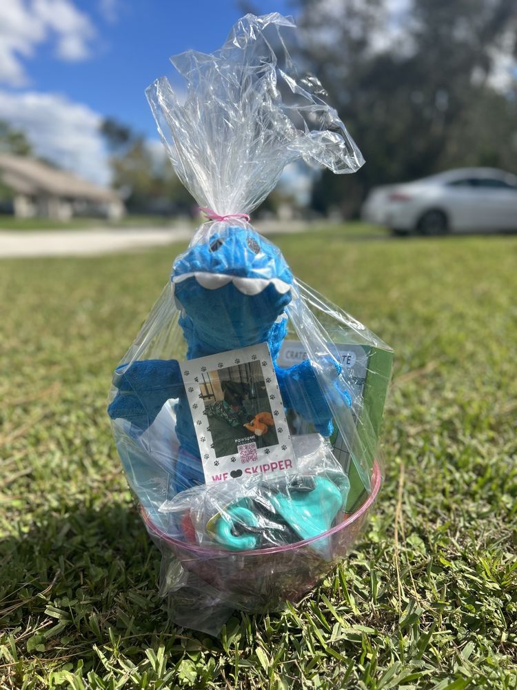 Pawsome Services - pet boarding facility in Orlando, FL